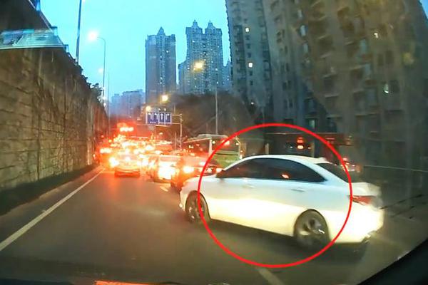 八天七夜 重庆网红地图请收下_9929访问稳定