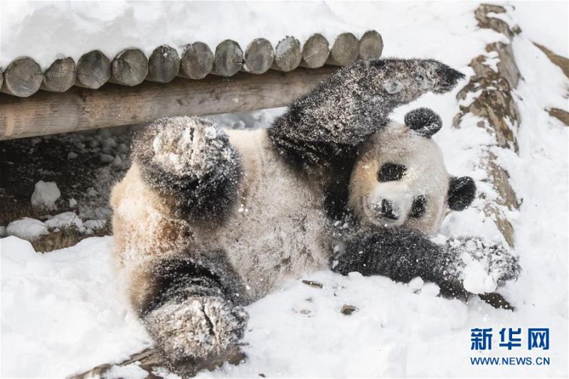 乾隆君臣书画特展半数文物首次亮相_国内云服务器提供商