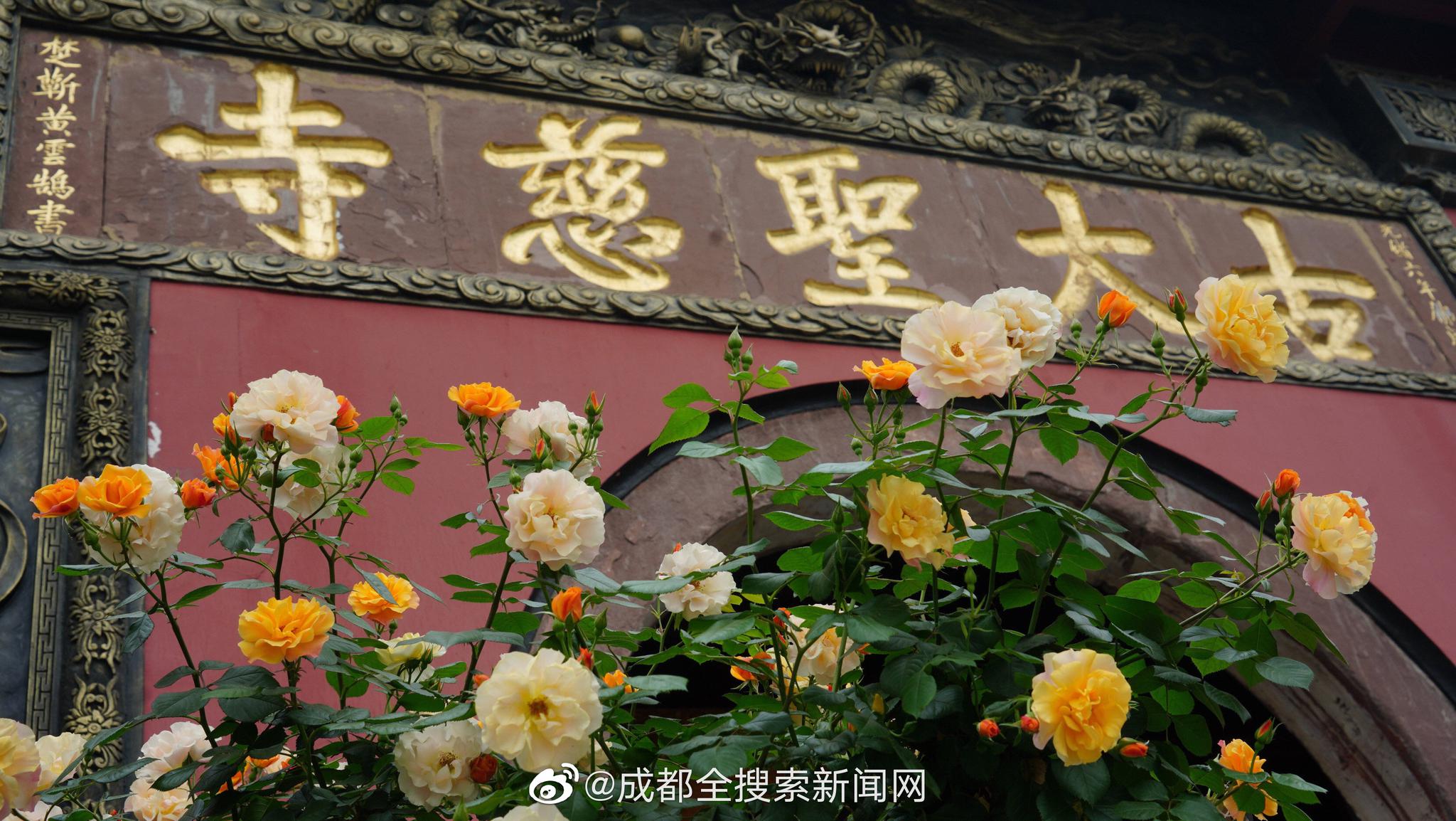 爱30年为何不敌相识两年_云服务器抢占式实例