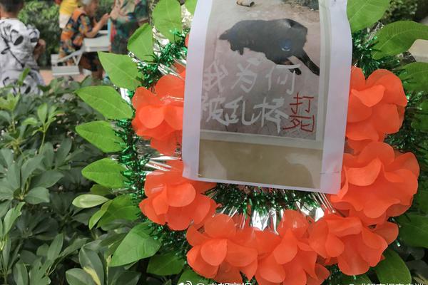 5月生肖贵人运势吉凶榜 这两个生肖运势上扬_美国CN2服务器性价比