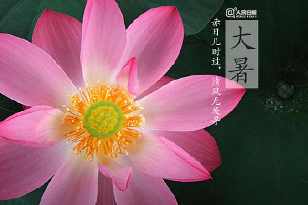 开心麻花新锐导演电影_9929纯净IP