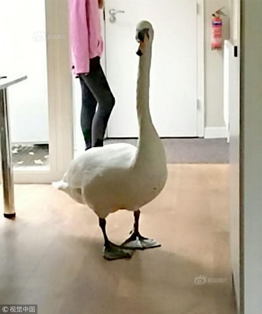 易宪容:三线城市房价如何走_云服务器16核32G
