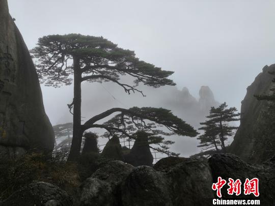 一艘4万吨新巨舰首次与国产航母同框了!她来大连准备干什么?_挂机宝开放端口