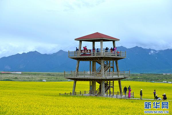 古代婚姻:提倡妇女守节起自于何时?_云电脑4G