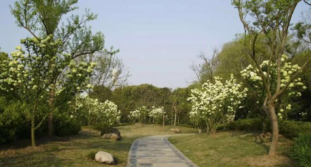 几十万人通力合作,造出我国第一代综合性航天远洋测量船_计算型云服务器