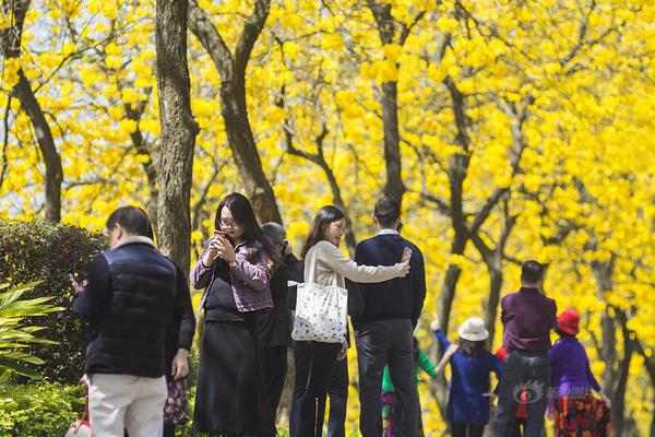 焚烧圆明园的除英军还有这些"家贼"