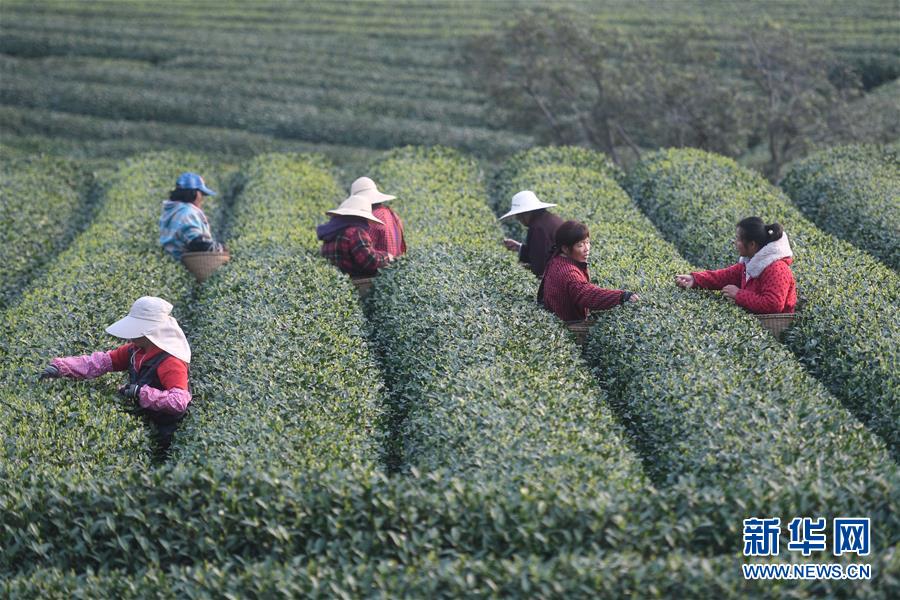 姐妹被洪水卷走警方拒立案_CN2服务器远程办公