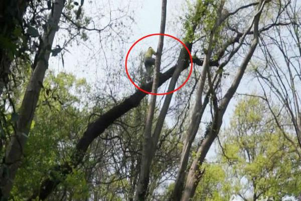 观众及名人为万玛才旦新片《撞死了一只羊》打气_美国CN2云服务器