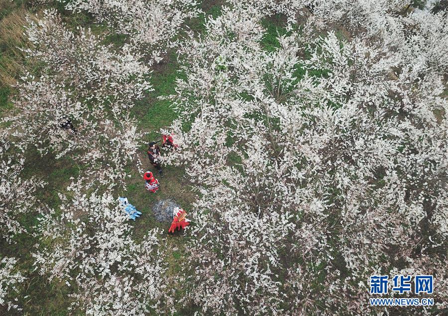 脸不帅的男人如何靠气质取胜？_云服务器租用