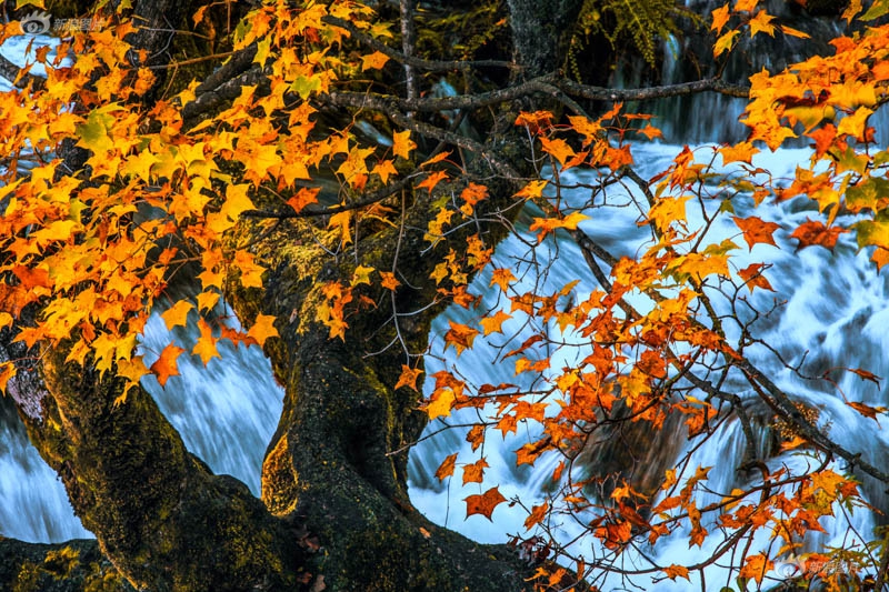 这车敢买?半价美滋滋事后哭无泪_显卡云服务器