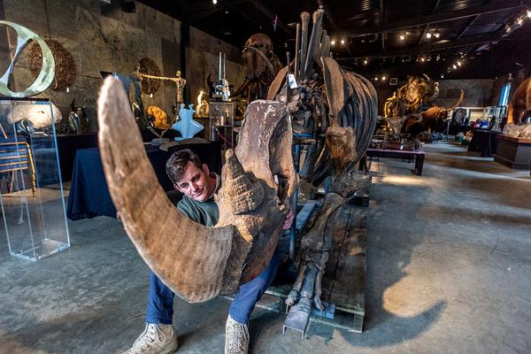 一头猪的奇幻全球之旅_9929建站首选