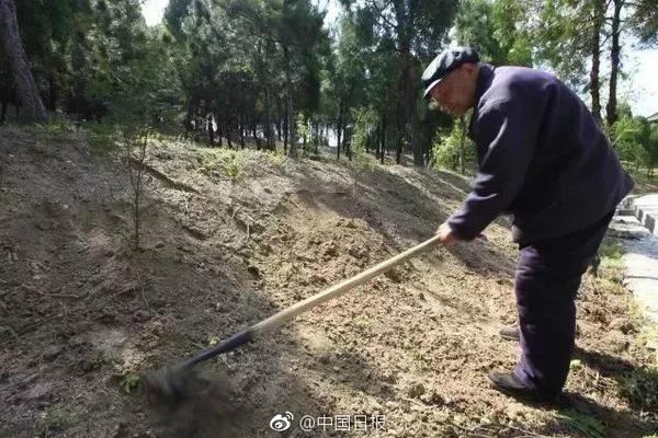 【福利】严选治愈美食|低至5折_挂机宝安卓模拟器