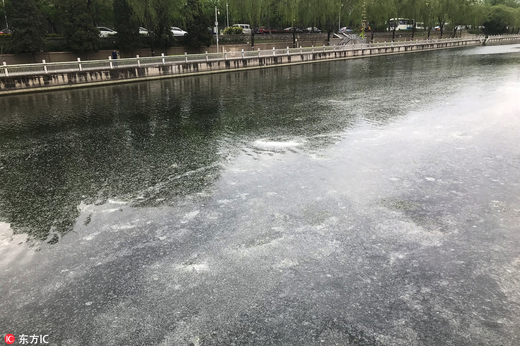 盛世娇宠:这个娘娘有点懒_大模型训练