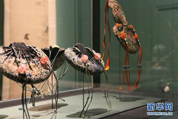 10小时目睹国外父母推娃新境界_挂机宝解锁流媒体