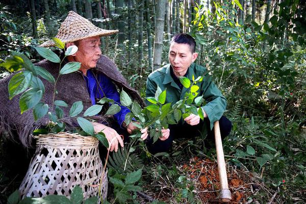 世界各地奇特有趣的房子_CN2服务器E5处理器