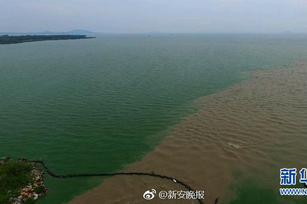卡帅:现在不当国足主帅是明智确定 以后还有机会_挂机宝开发环境