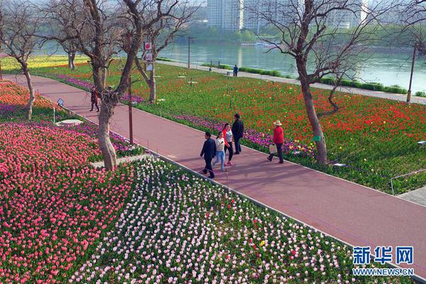 国内壮丽风景29条自驾路线_CN2 GIA线路