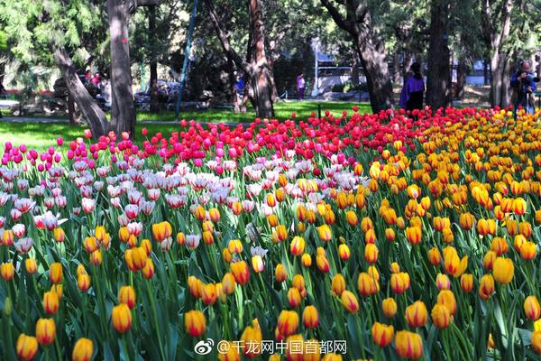终身受益曾国藩24个锦囊_微软Azure中国