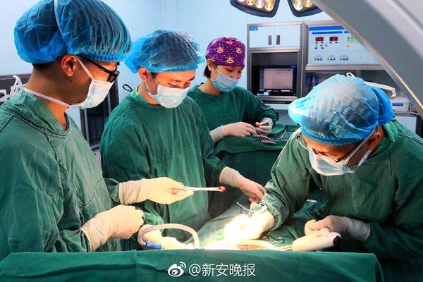 价值9000元的宠物鸡不见了 警方抓获时已被偷宰准备下锅_云电脑随时随地访问