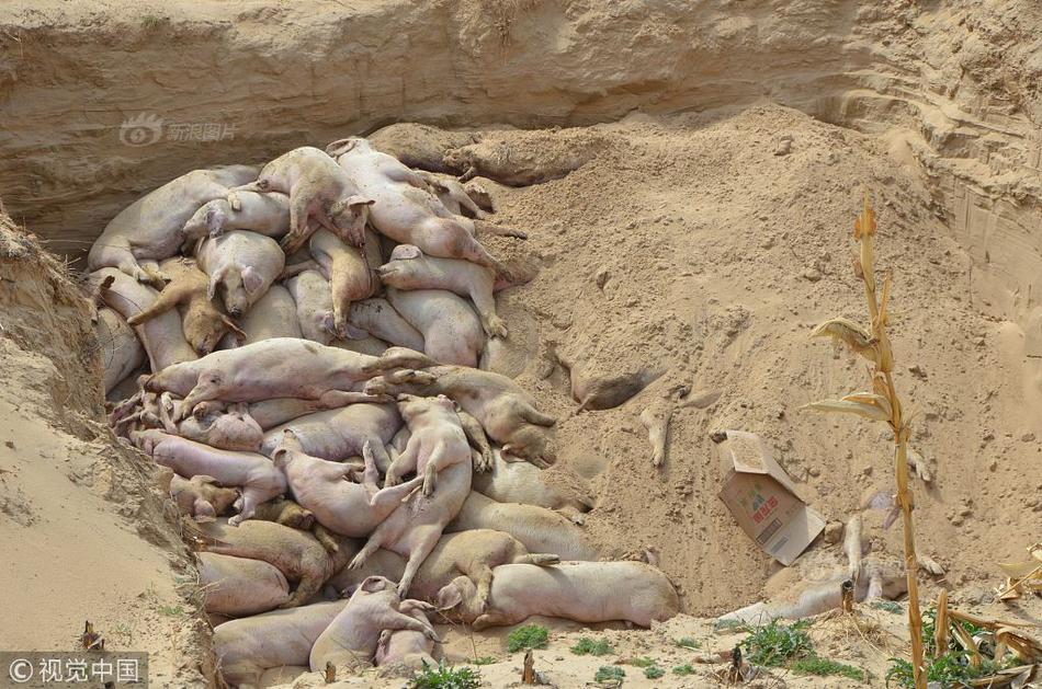 企业邮箱哪家做的好_挂机宝旺旺挂机