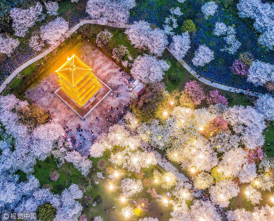 印巴双方不仅海空对峙 还掀起军备竞赛“互亮肌肉”_9929小程序后端