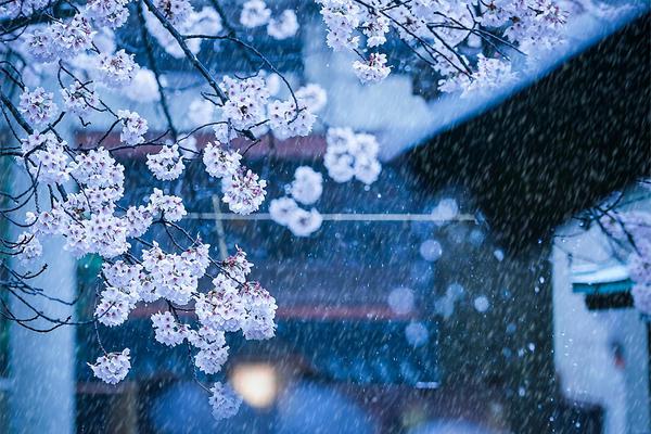 一组数据拉响申花“全面警报” 三大问题待“花帅”解决_云电脑平板接入