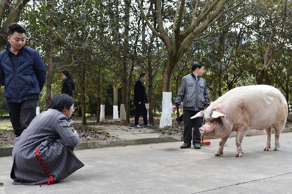 三种方式让迷你卫生间做到干湿分离_云电脑手机接入