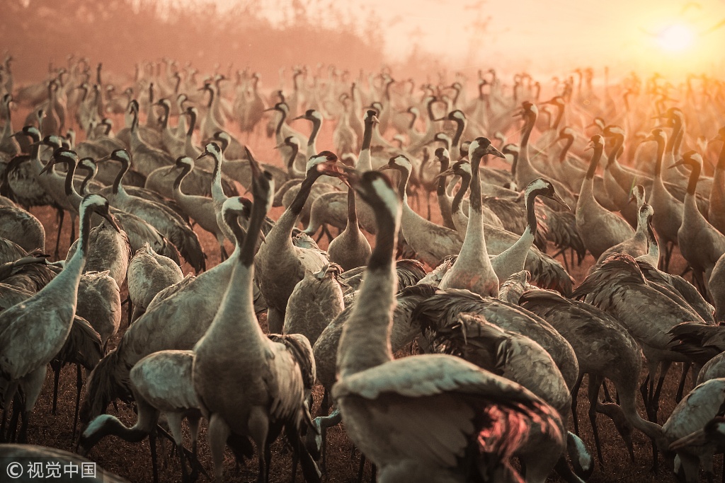 Baby疑似开眼角?眼线就能放大双眼啊_挂机宝自动任务