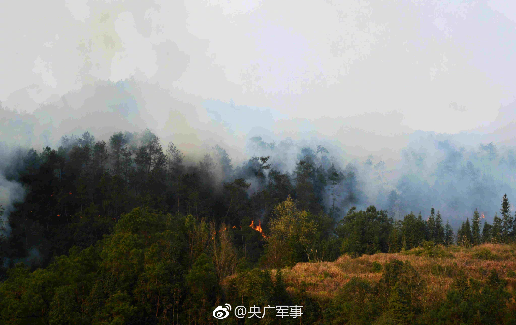 内蒙古云服务器哪家好_其他问题