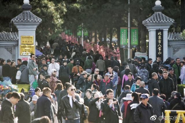 给孩子做饭难？“常回家做饭”快成奢侈品_挂机宝夜神模拟器
