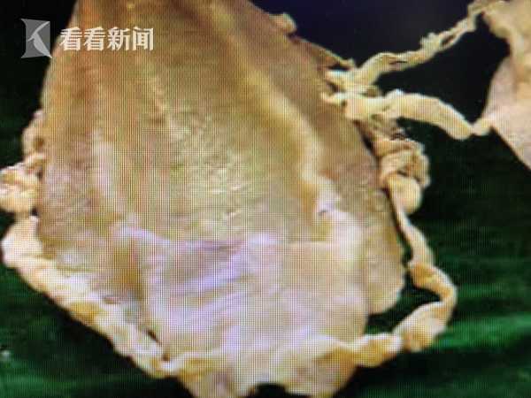 不会说话的人,一句话可能就毁了一辈子_远程办公