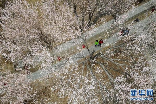 收集《战神》系列物品入选吉尼斯_9929联通用户