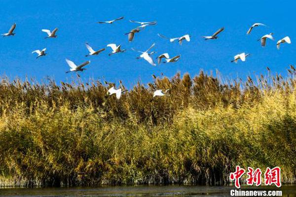 “家轿王”换代 日产新轩逸_西安云服务器