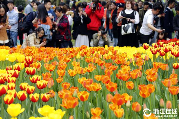 大学校园鲜花盛开 争奇斗艳_云服务器99元/年