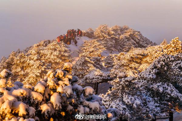 一父两母?全球首位