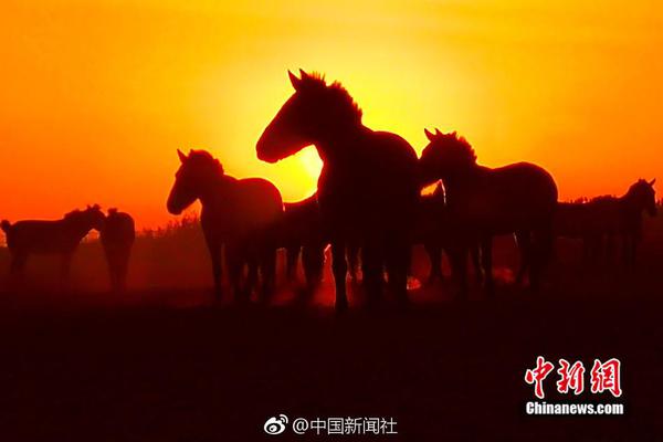 鲁政委等:如何理解央行的利率“舒适区”_文件存储