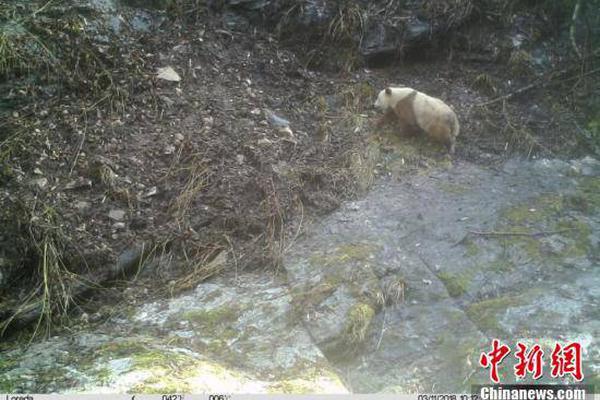 “闭眼就送你礼物”，他用这招连续杀害3名女子_CN2 GT线路特点
