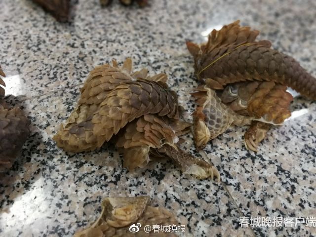 《剑网3》世外蓬莱今日开测_挂机宝加速器