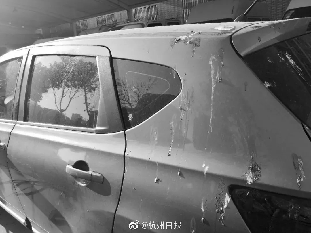 北大成立五四运动研究中心_联通云智云