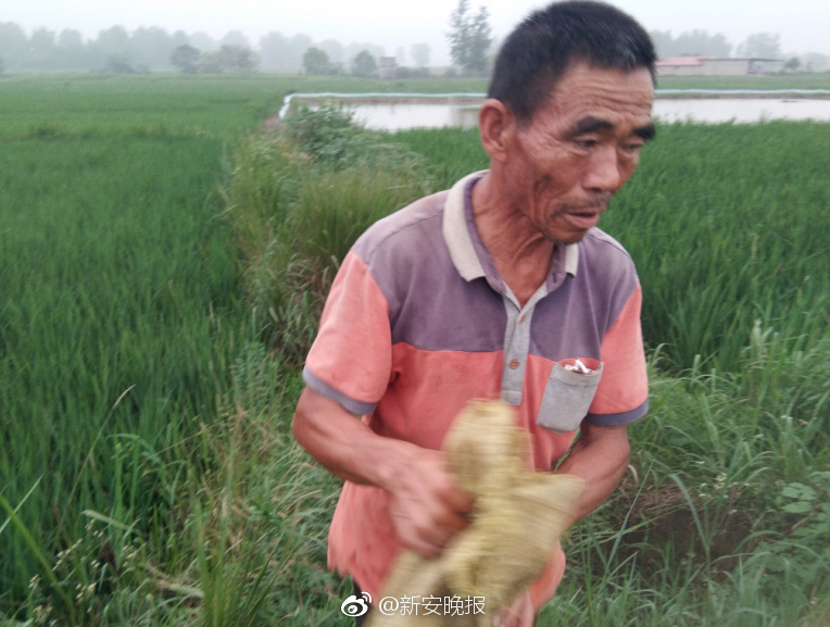 比亚迪强制按揭被约谈_CN2游戏服务器