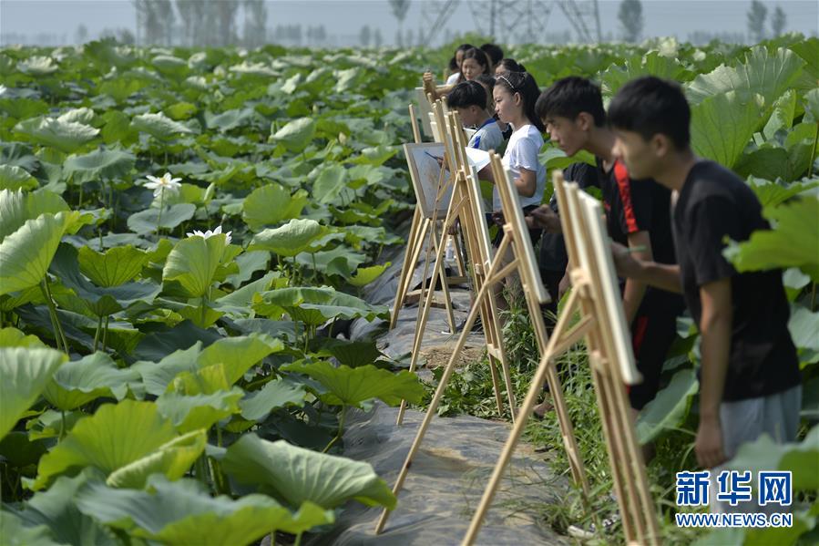 广深连推住房保障 一线“抢人” 先破高房价魔咒_直播云服务器