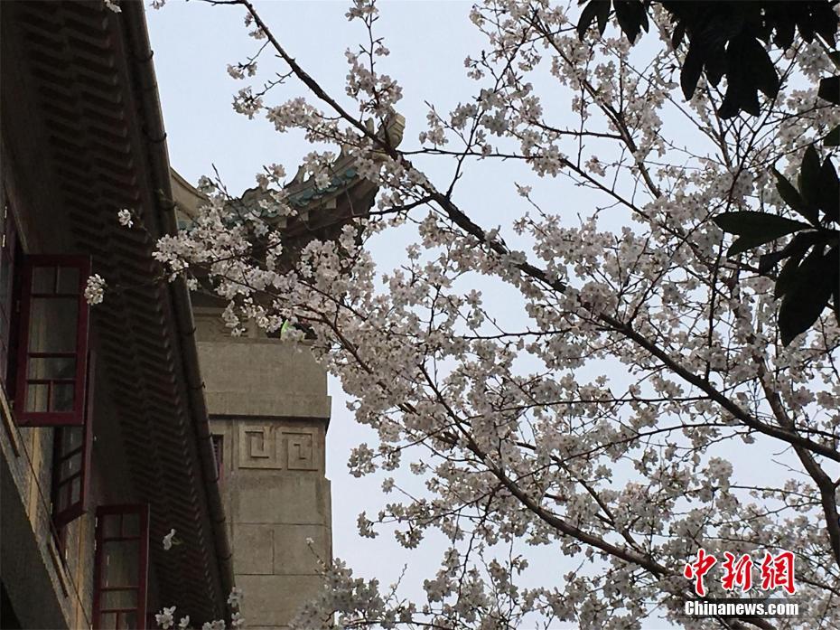 服务员神似《权游》“小恶魔”..._云服务器试用