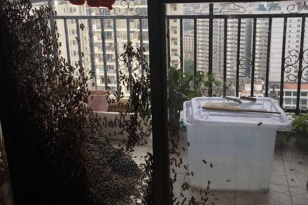 宋慧乔频繁亮相狂捞金?现身上海捐雕像,半个月上三次热搜