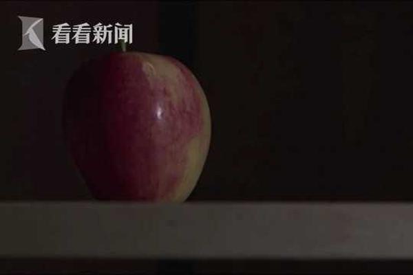 造车新势力迎新玩家:首钢注资9.5亿元进军新能源_云电脑价格