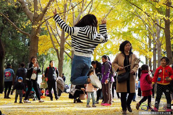 王思聪质押大连合兴投资157.2万股股权_高性能云服务器