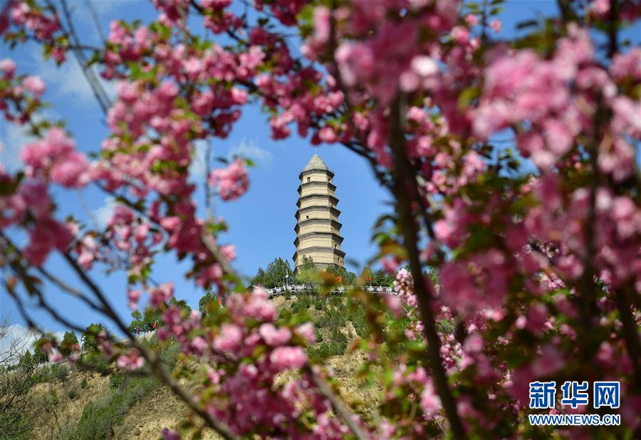 南京应用技术学校涉嫌虚假招生？南京人社局回应_CN2服务器建站