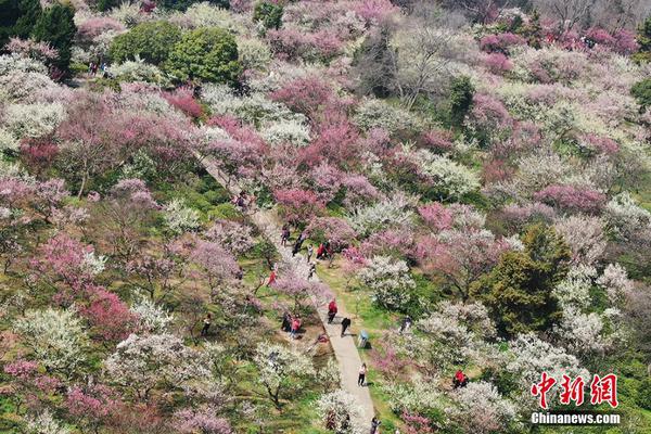 周天勇：如何落实好“一带一路”规划_云电脑电视接入