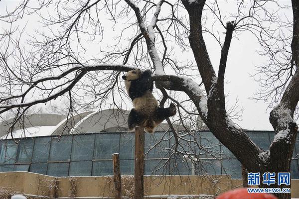 海南官方确认博鳌银丰康养医院违法接种宫颈癌疫苗_CN2服务器配置推荐