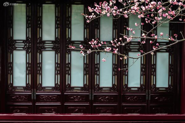 蔡国庆批朱正廷捂嘴笑 希望他们有强盛的阳刚之气_挂机宝迷你哆