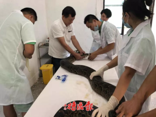 印度版“战斧”巡航导弹上天，矛头直指巴铁_云数据库
